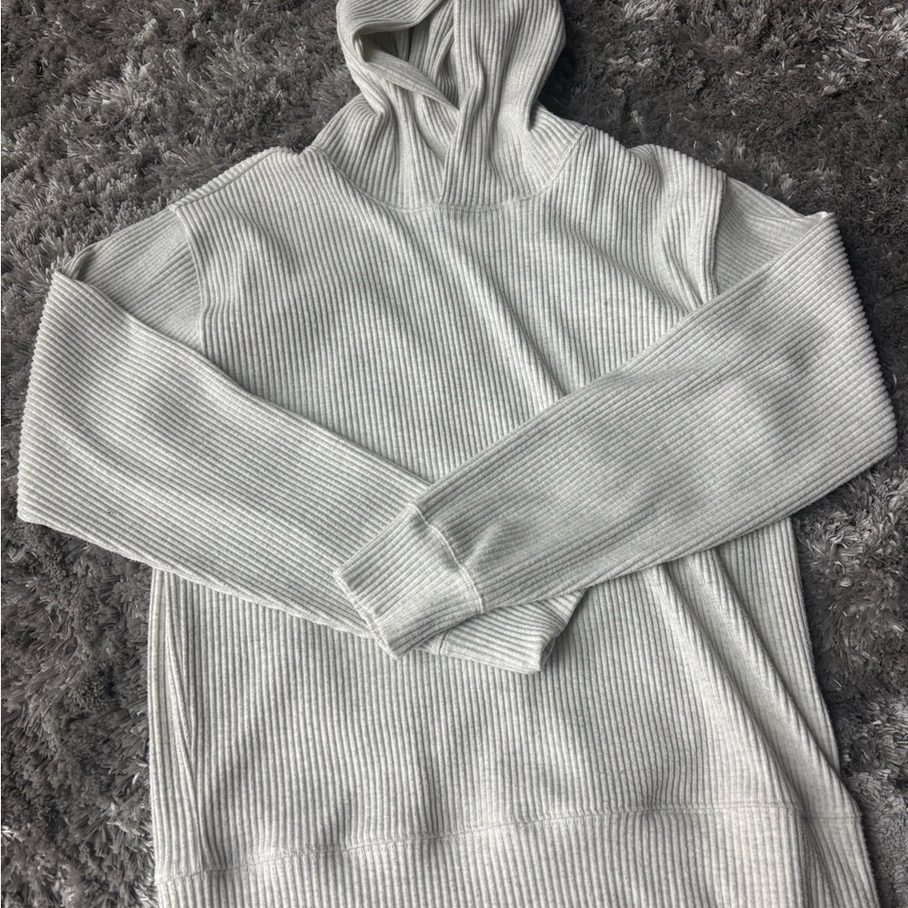 Aritzia Secluded Hoodie